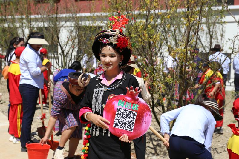 56个民族嘉宾在德钦共植“民族团结石榴林”(图1)
