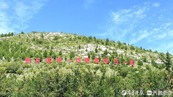 秋风起又见枣庄石榴红！峄城12万亩石榴结出“增收致富果”(图14)