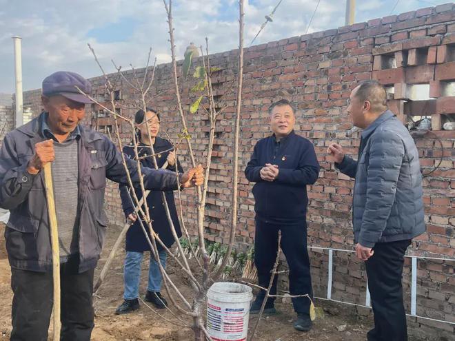 吕梁市总工会在峪口镇花家坡村开展“发展庭院经济 助力乡村振兴”樱桃树苗发放活动(图2)