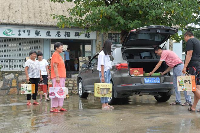 薛城区：一颗石榴树紧盯30年(图1)